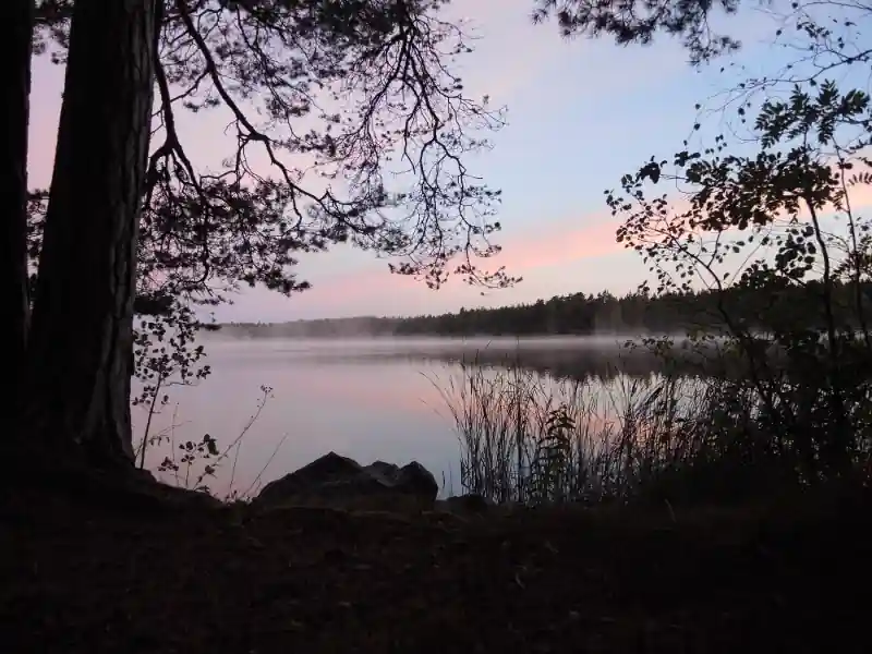 Pink dawn