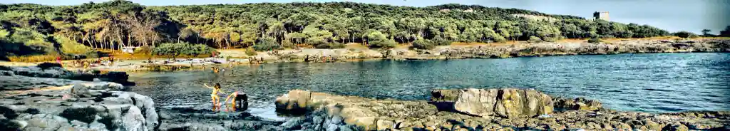 Portoselvaggio