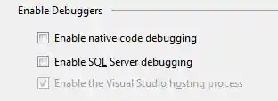 Project specific debug options