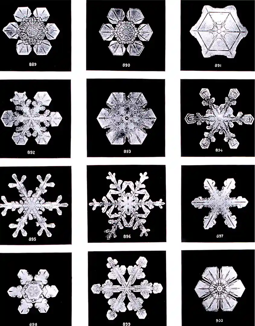 Emergence in snowflakes