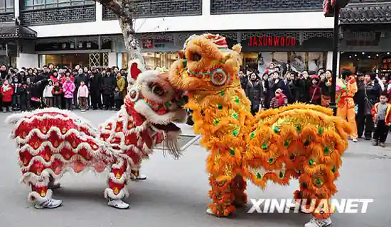 Lion performance