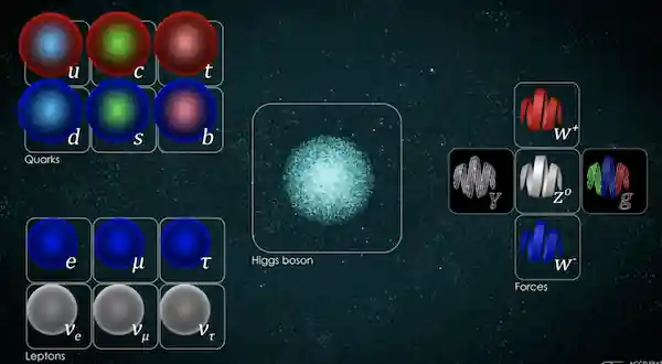 Standard model
