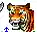 Year of the tiger